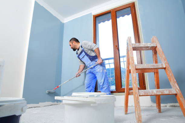 Best Environmental Consulting for Mold Prevention  in Moraine, OH
