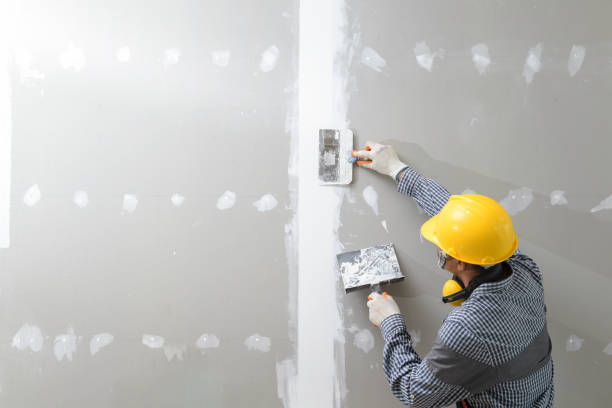 Best Biohazard Mold Removal  in Moraine, OH