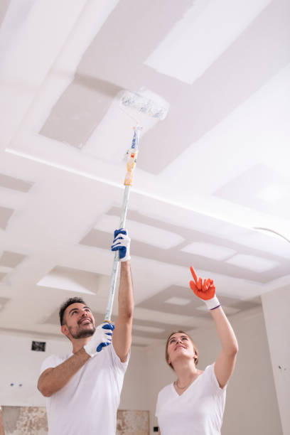 Mold Odor Removal Services in Moraine, OH