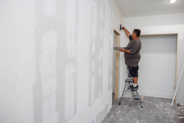 Best Mold Damage Restoration  in Moraine, OH