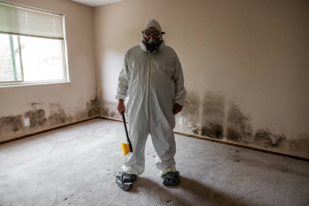 Best Mold Removal for HVAC Installations  in Moraine, OH